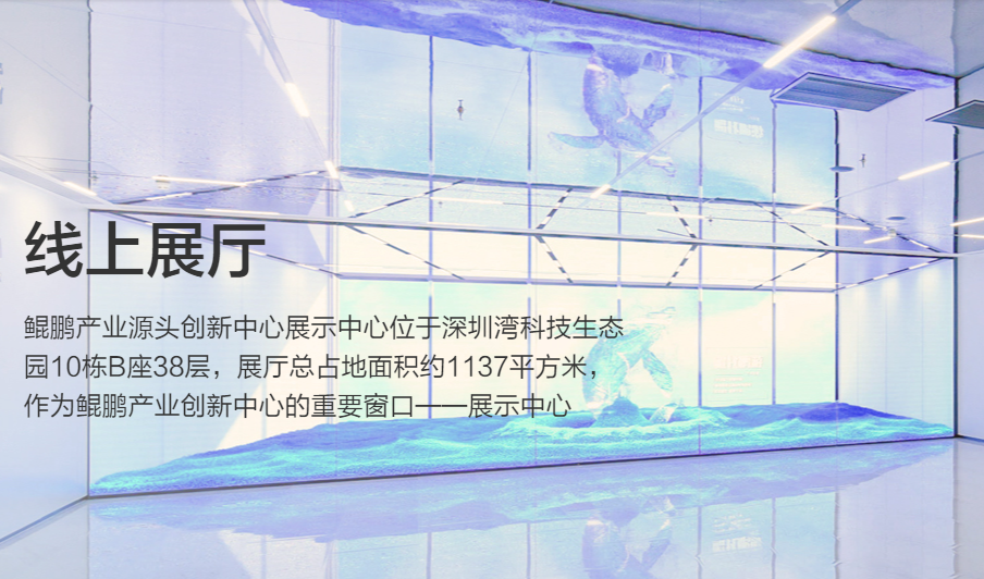 鯤鵬線(xiàn)上展廳.png